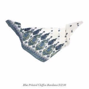 White and Blue Chiffon Scarf (2)